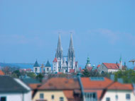 Dom